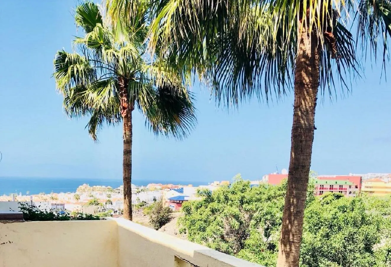 Apartment Amazing Holidays In Tenerife With Wifi Costa Adeje  Spain
